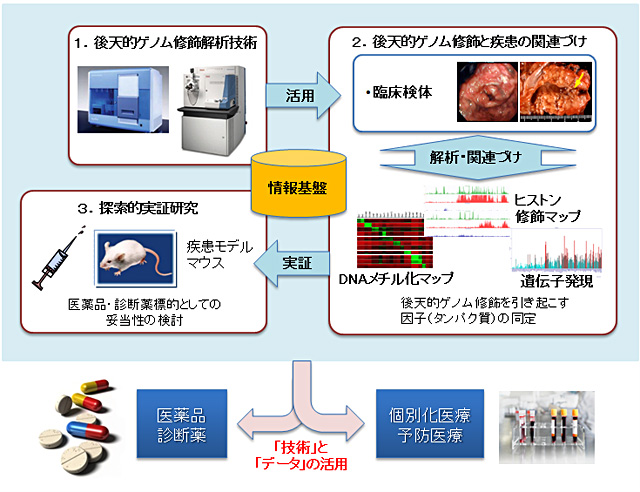 後天的ゲノム修飾解析技術を活用し疾患と関連づけ探索策敵実証研究を行う事を表すイメージ図