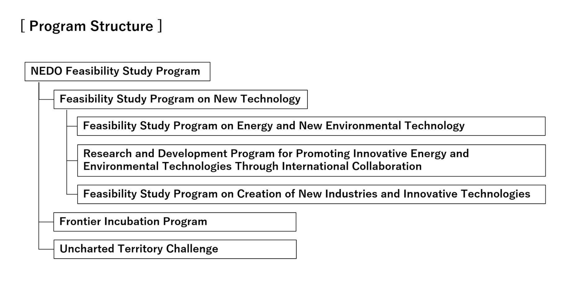 Chart summarizing the structure of NEDO Feasibility Study Program