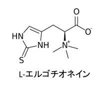 L-エルゴチオネイン