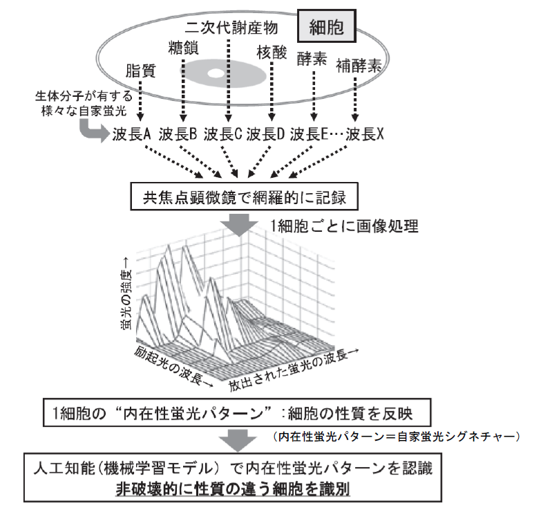 CRIF法の概念図