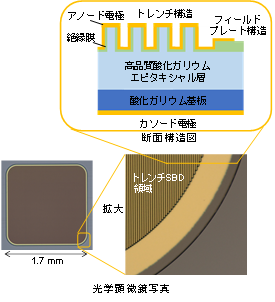 &beta;-Ga<sub>2</sub>O<sub>3</sub>トレンチ型SBDの断面構造図、光学顕微鏡写真