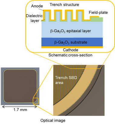 Optical image and schematic cross-section of<br /> the developed &beta;-Ga<sub>2</sub>O<sub>3</sub> field-plated trench SBD