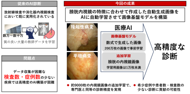 図1　画像基盤モデルを活用した膀胱内視鏡診断支援AIの構築を表した概要図