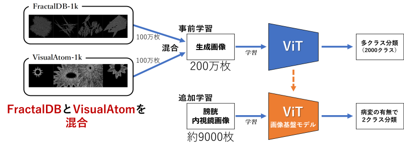 生成画像による画像基盤モデルの構築と膀胱内視鏡診断支援AIの学習を表した概要図