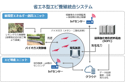 実証システムの図