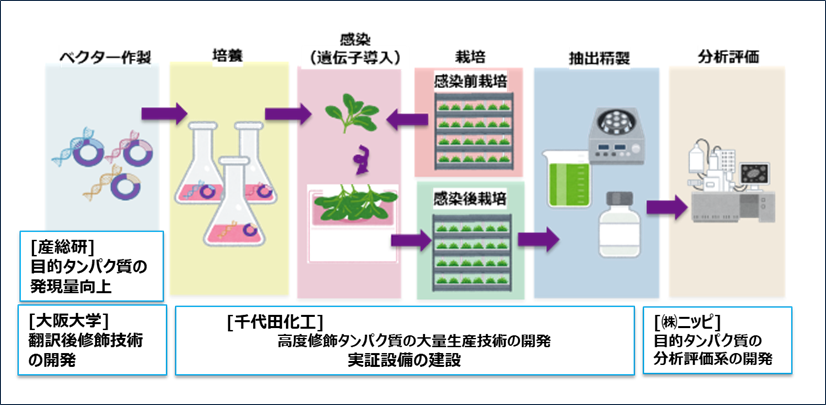 本事業の開発内容の概要図