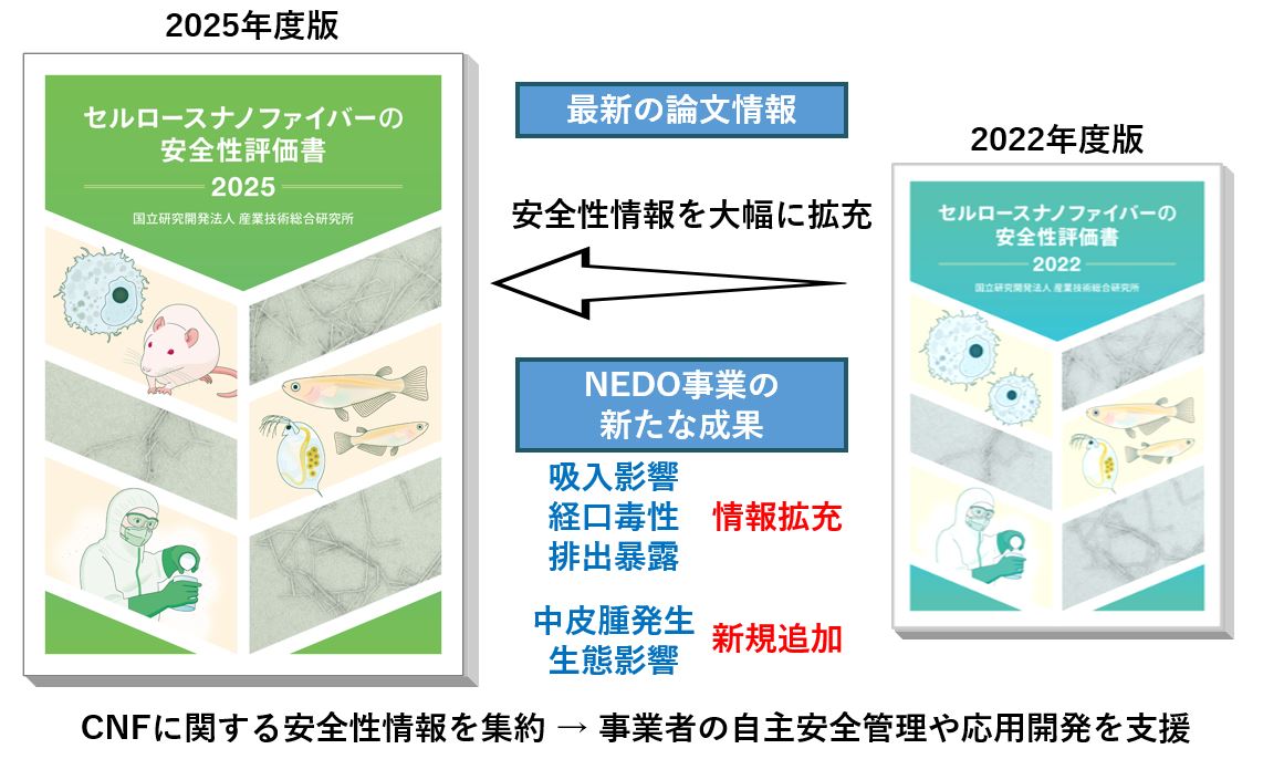 安全性情報を充実させた新しい「セルロースナノファイバーの安全性評価書」の画像