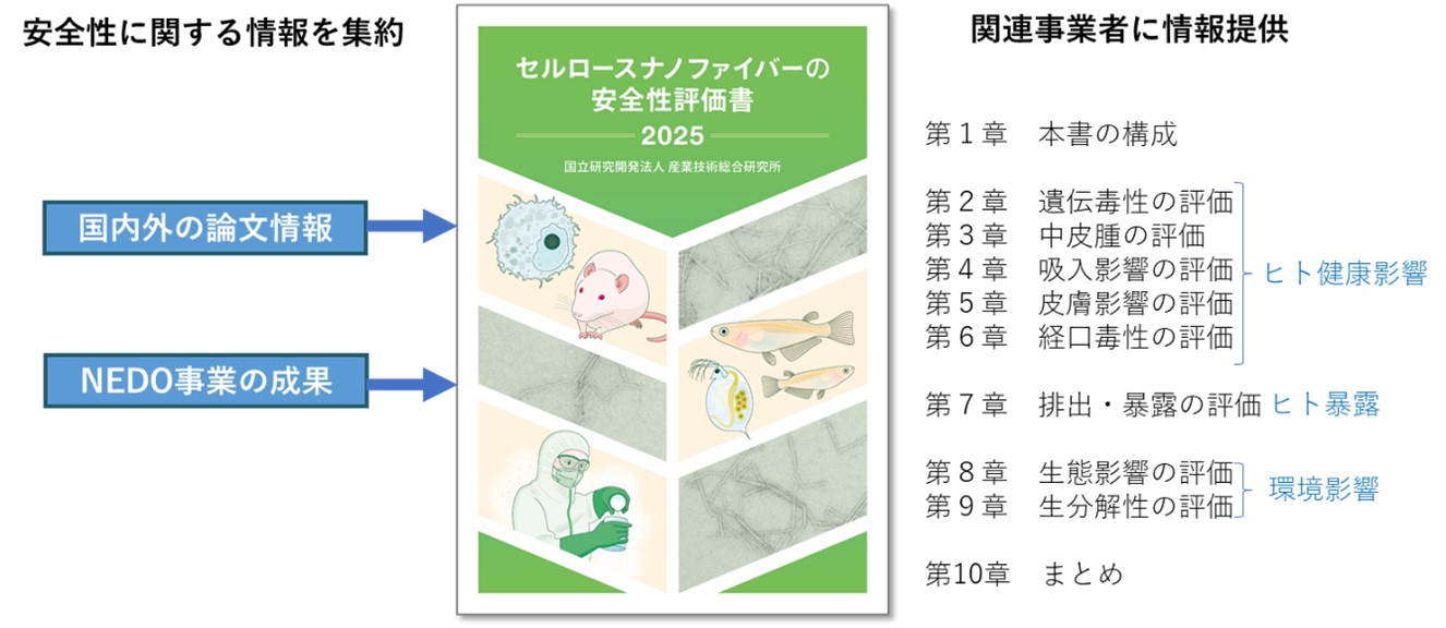 「セルロースナノファイバーの安全性評価書－2025－」にとりまとめた情報の画像