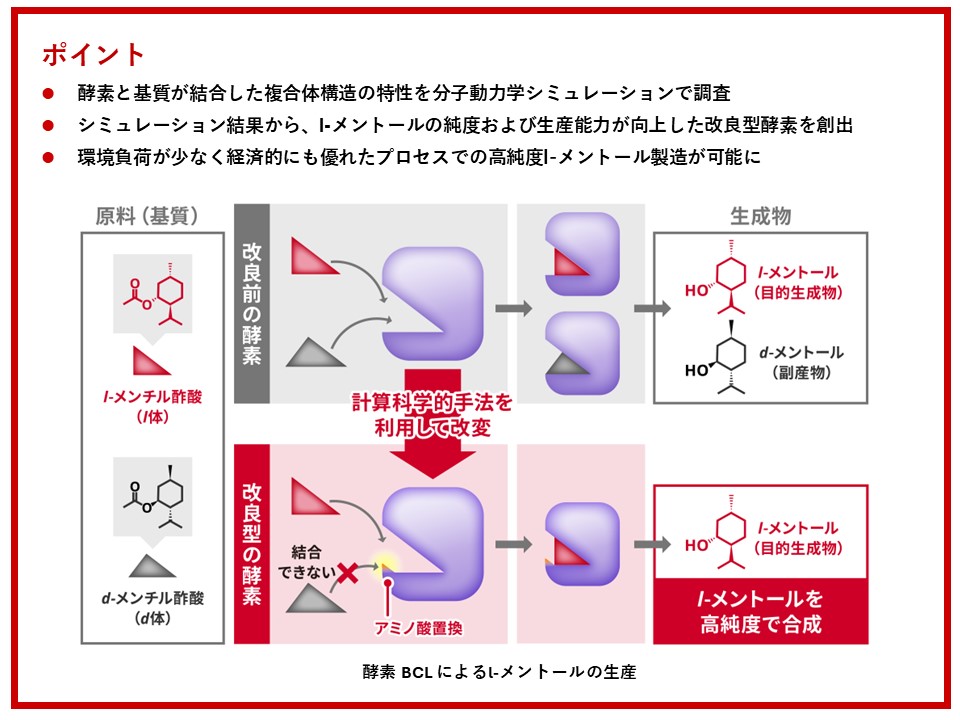 図1　酵素Burkholderia cepacia lipase（BCL）によるL-メントールの生産（提供　産総研）の画像