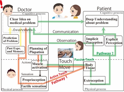 Figure 1. Block Diagram for describing the influence of Palpation to Doctor and Patient Picture