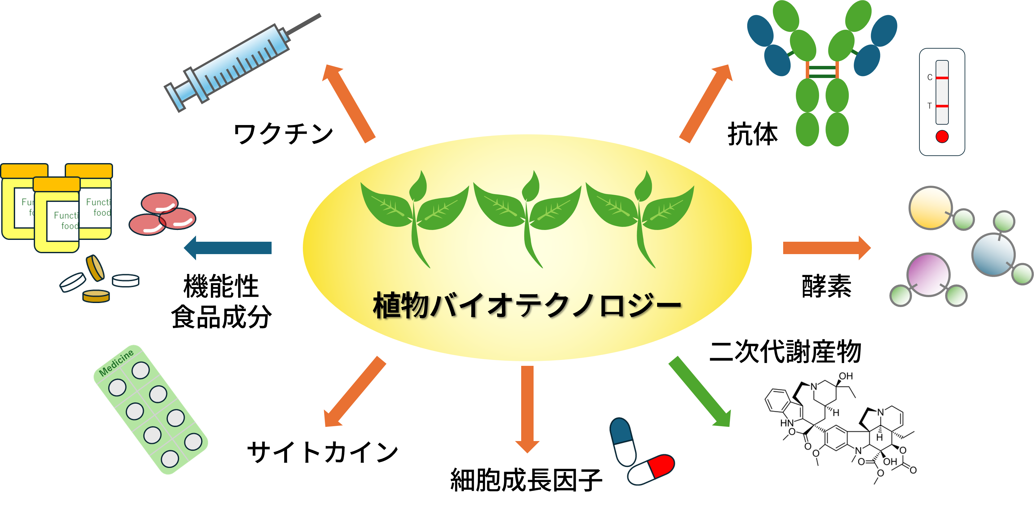 図1　植物バイオテクノロジーを用いたものづくりのイメージ