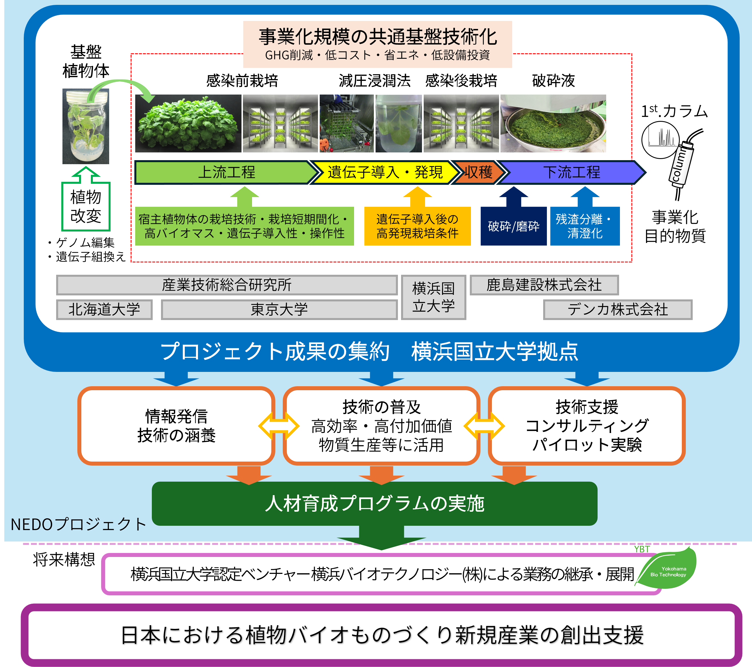 図2　本プロジェクトの概要