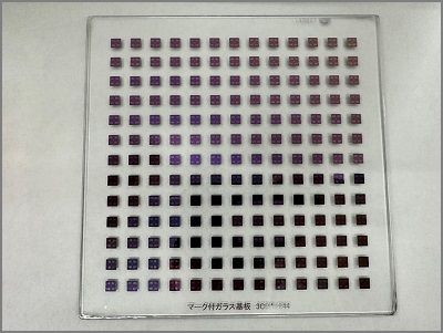 半導体チップの転写サンプル画像