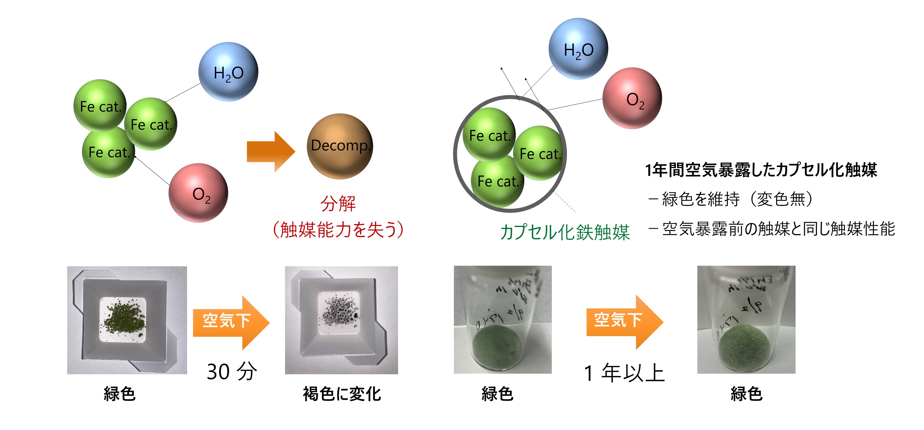 図2　長期空気暴露時の変化：鉄触媒（左）およびカプセル化した鉄触媒（右）