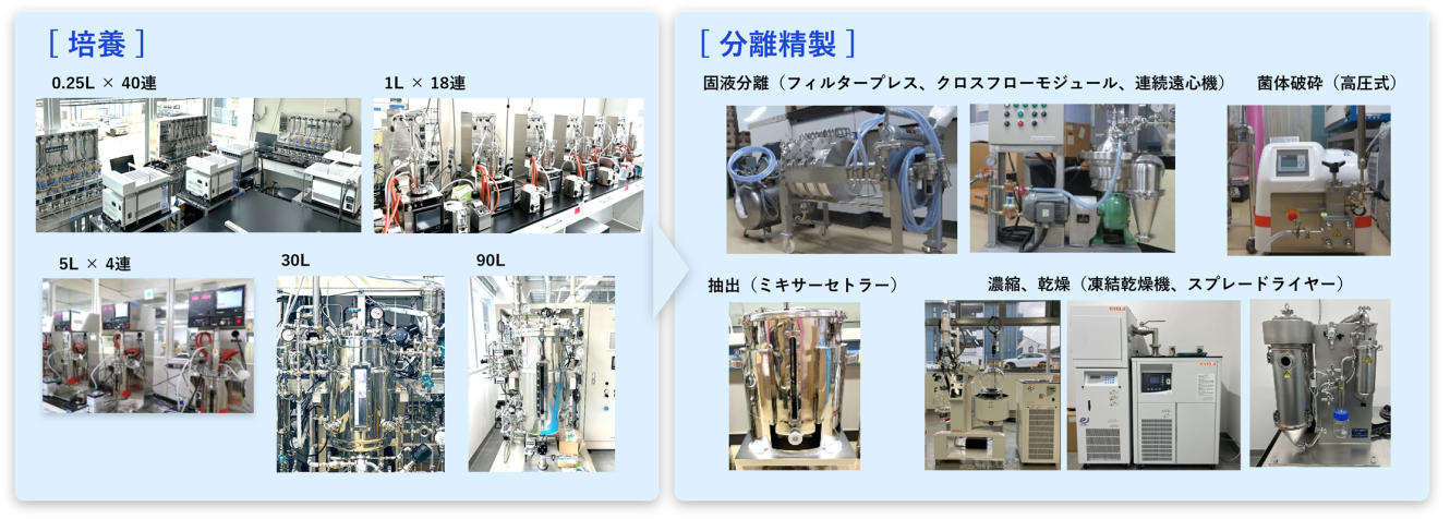 培養と分離精製の写真