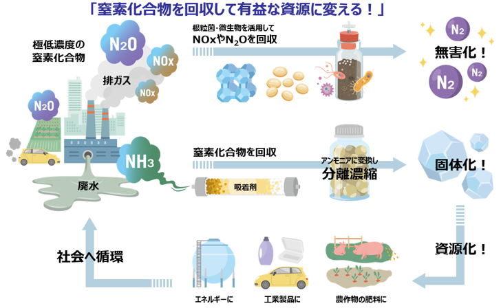 窒素化合物利用イメージ画像